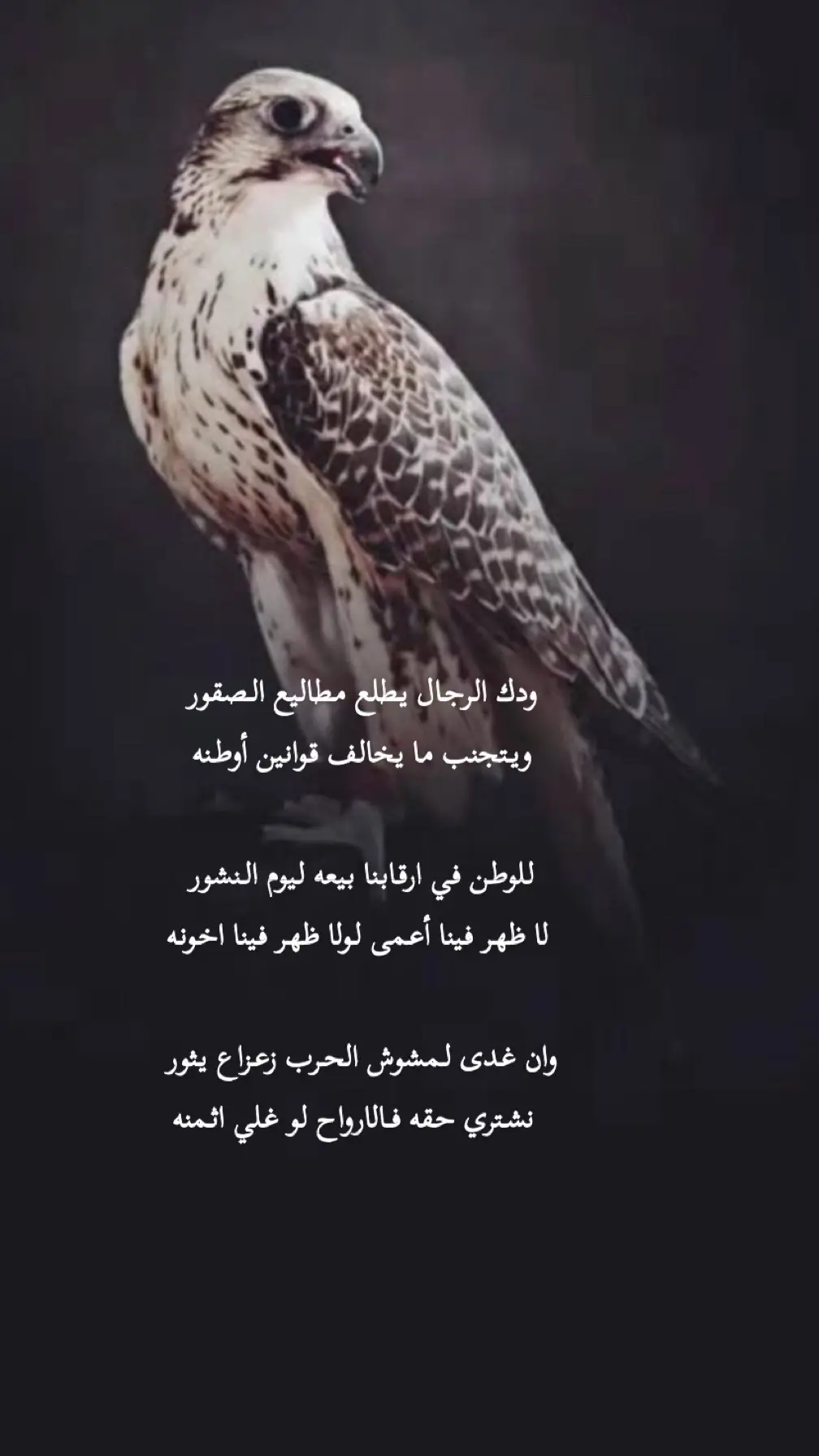 ودك _ الرجال _ يطلع _ مطاليع _ الصقور _ #اكسبلورر  ‏
