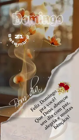 Gratidão Senhor!
