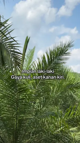 #storysawit🌴🌴 #sawitontiktok #petanisawit #petanimuda #bosmuda 