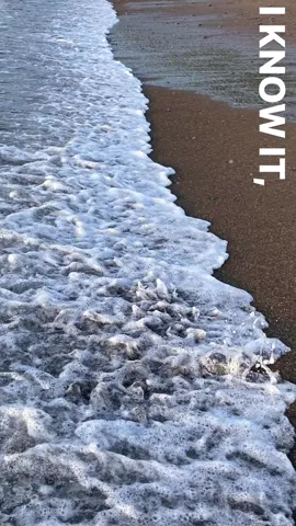 free to story  #vibes #freetostory #trending #igstory 