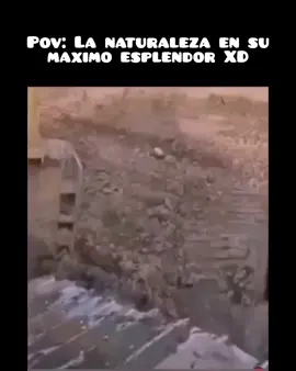 El coyote XD #XD #funny #🤣🤣🤣 #momentosdivertidos #fyp 