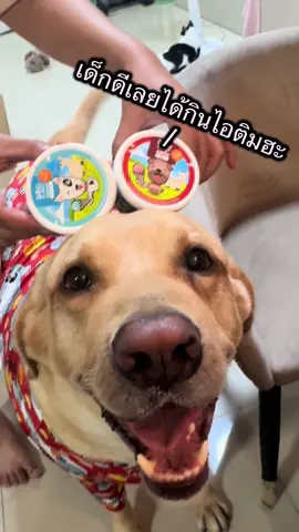 ไอติมมาแย้ววว 💗 #ขนมหมา #ไอศกรีมสุนัข #ไอติมหมา #dogdukdik #extratreats 