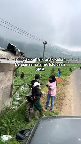 ijin yo mbak lek weruh vt hhe #petani #petanimuda #petaniindonesia🇮🇩🇮🇩🇮🇩🌿🌿 #petanikentang #petanikentangdieng #fyp #berandatiktok 
