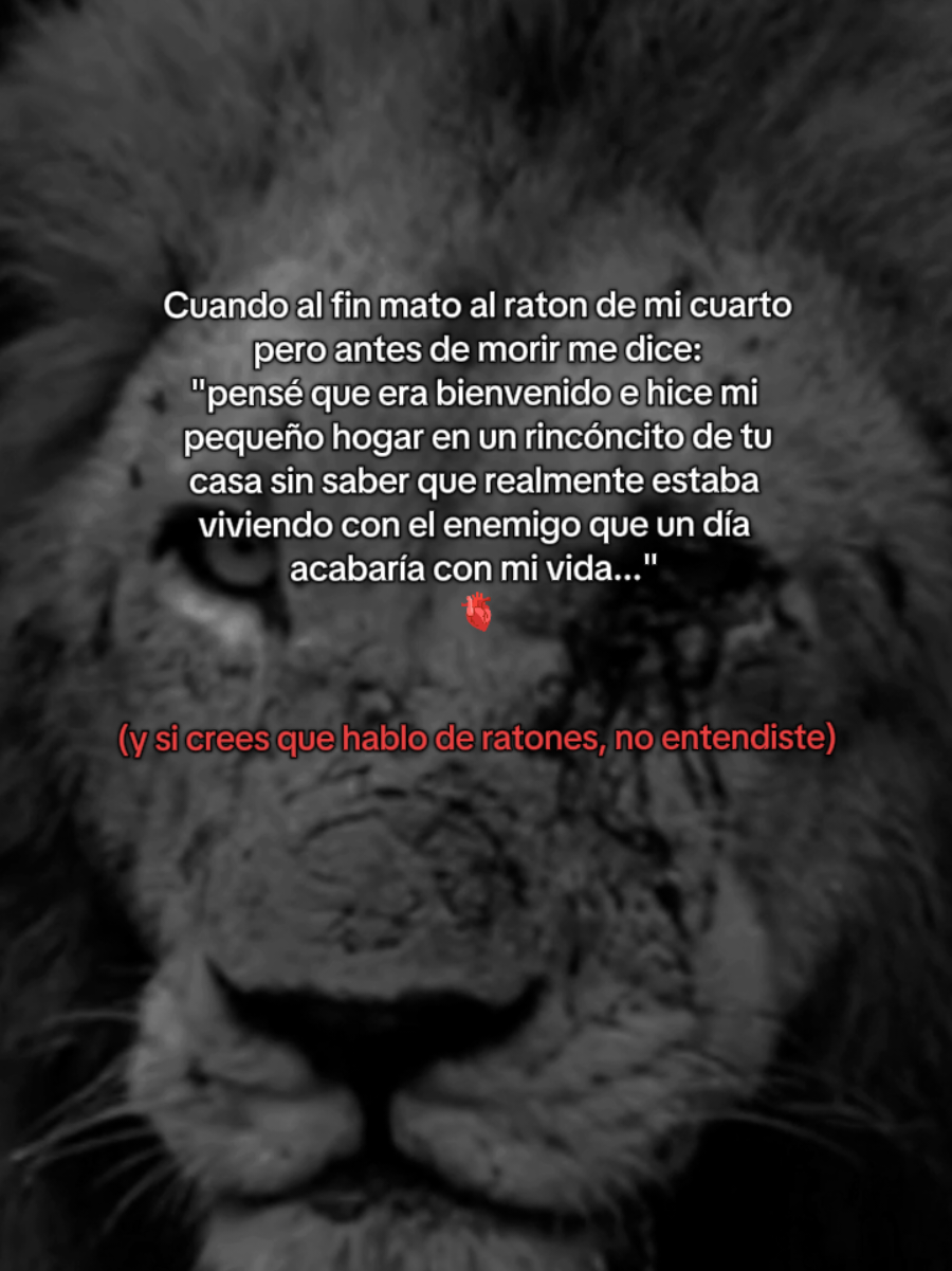 #metafora #paratiiii #pageforyou #tiktokhasmeviral #frases_de_todo 
