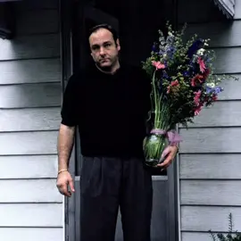 Soprano lifestyle | ib: @unvargable edits #tonysoprano#thesopranos#targetaudience#edit#asthetic 