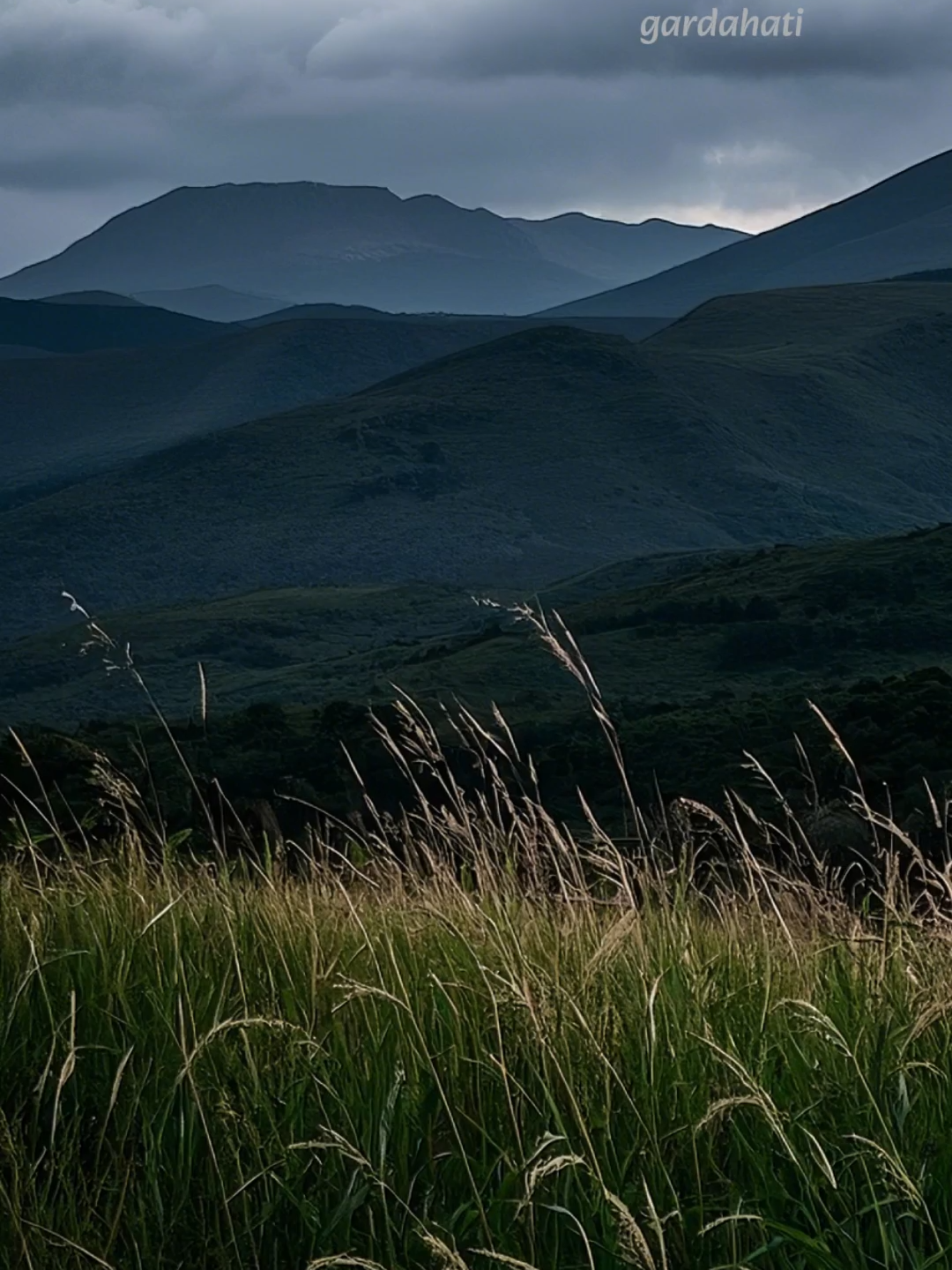 Belajar lebih tenang menikmati hidup dengan proses tanpa protes, tidak takut dibenci, tidak mengemis untuk disukai, dan menjadi diri sendiri tanpa basa-basi. #katakatabijak #quotes #penguatdiri #pengingatdiri #motivasidiri #inspirasikehidupan #status #story #reminder #fyp