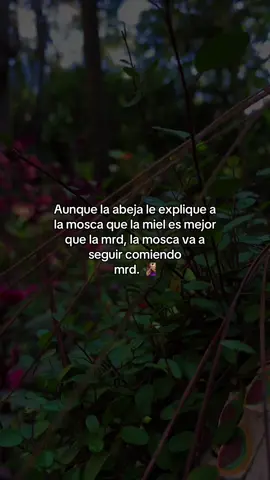 #paratiiiiiiiiiiiiiiiiiiiiiiiiiiiiiii #viral #fyp #laabejareina🐝 