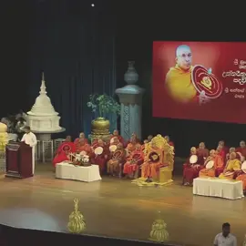 කොලබ දෙසට තනි සිග්නල් කනුව යට... සමාජවාදී ජනාතා ආණ්ඩුවට වසරයි 🤍 #akd #anurakumaradissanayaka #fypシ゚ #viral #trending 