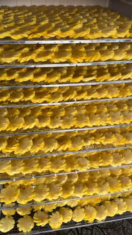 Không giỏi thì phải càng nổ lực , không may mắn thì càng phải cố gắng mỗi ngày #bepmemua  #tiktok #xuhuong #traicaysay 