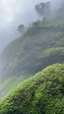 Missing this wonderful nature 🍃                                        #awasenfalls #awasenfallsilocossur #nature 