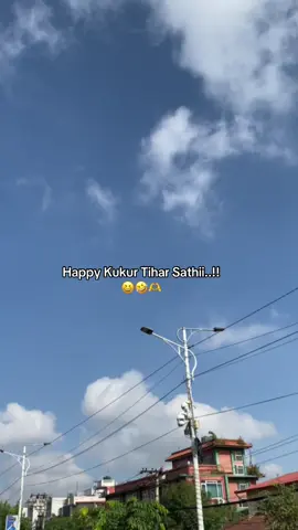 happy kukur tihar sathyy😆#fyp #foryoupage #fypppp #viralvideo #mention 