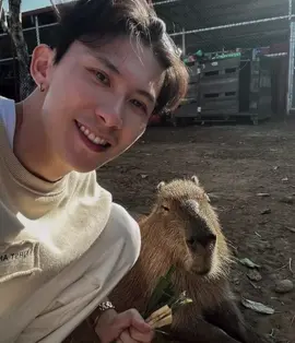 Bé capibara🥰