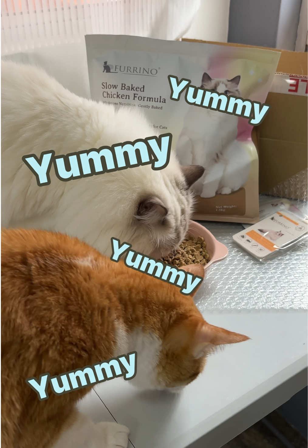 📦 Unboxing : The most affordable Slow-Baked Cat Kibbles with premium quality ✨
