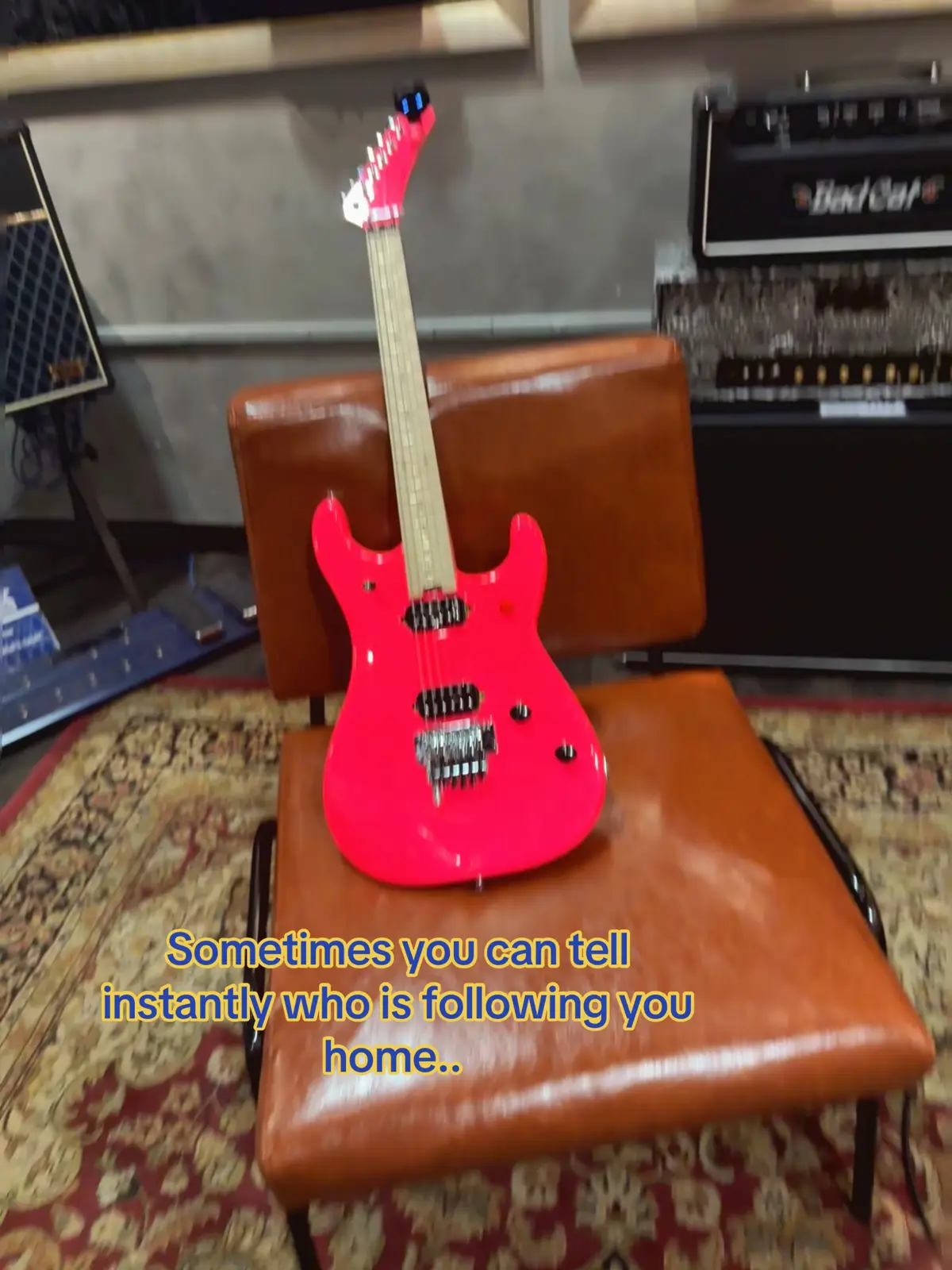 Sometimes you can tell instantly who is following you home… #evh #5150 #guitarcenter #newtome #getin 