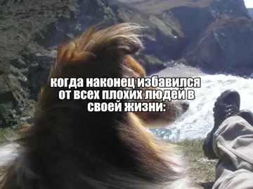 когда наконец избавился  от всех плохих людей в своей жизни: #друзья #рекомендации #fyp #свобода #светлаяполоса 