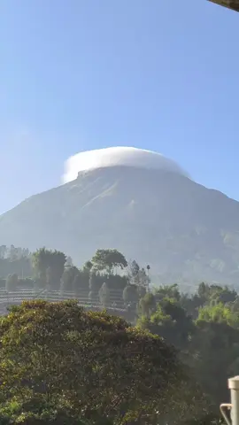 Di bawah indah tapi di puncak sungguh indah🗿 20 september 2025 #gunungslamet 