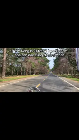 Mau đến tết #xh #viral #tet #travel #mangden 