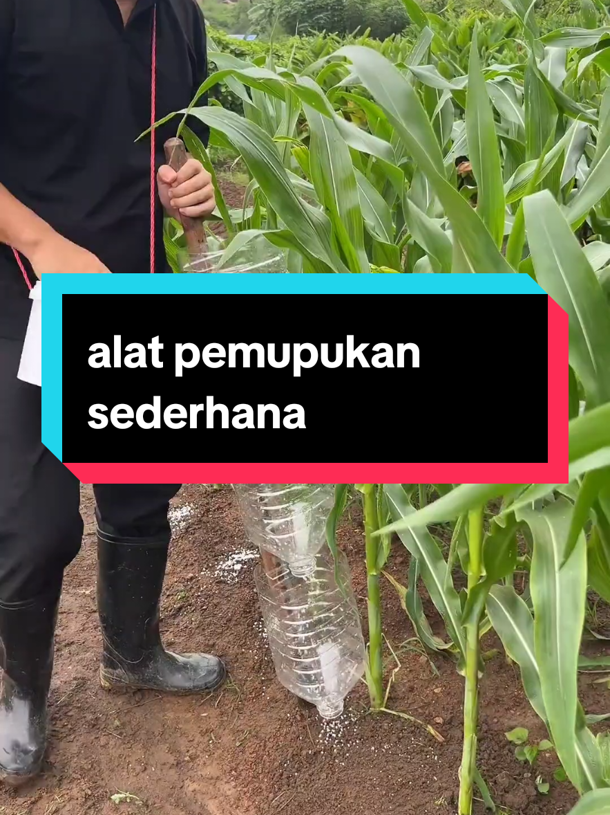 alat pemupukan sederhana tapi bantu banget buat petani, #alatpertanian #kreatif #pemupukan #pupuk #pertanian #fyp 