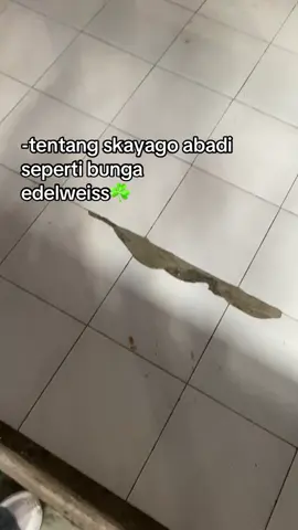 #skayago #godong #fyp #smk #fypシ゚ 