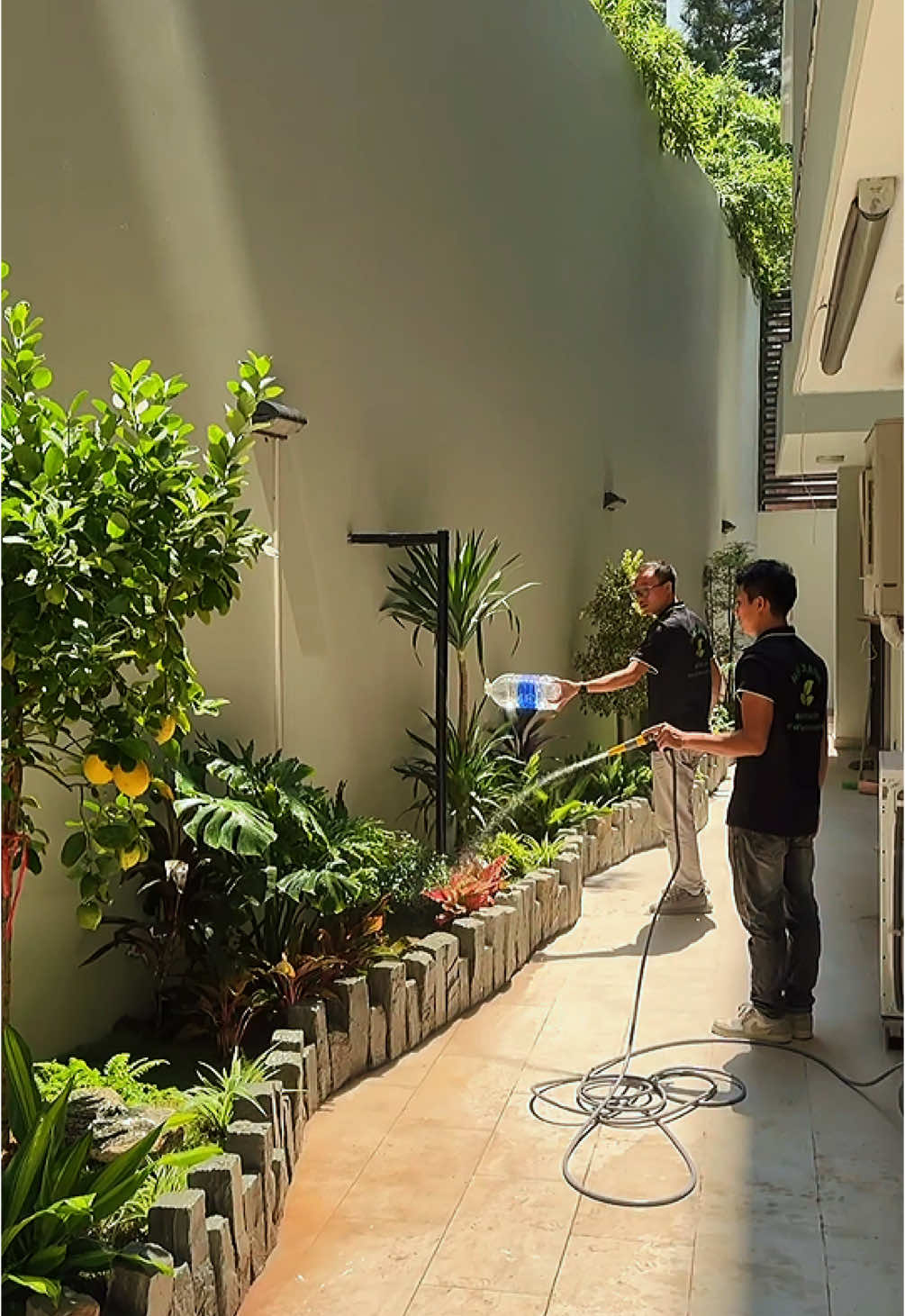 #nhaxanh #trangtrinhacua #bancongdep #trending #hanoi #xuhuong #trangtrinhacuadep 