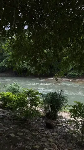 peace like this, no rush, no deadlines 🍃😌 #nature #tanayrizal #palayanaturalfarm #fyp #peace 