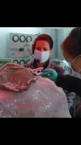 This woman was frozen for 10000 years #film #movie #tiktok #foryou #TikTokGemsContest 