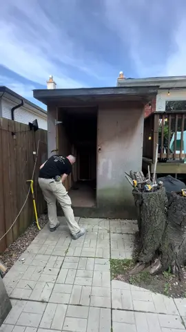 We turned this shed into the perfect outdoor space ✨… but first we had to evict our surprise tenant 🦨😂 #aesthetic #b#backyards#skunkdemolition #construction 