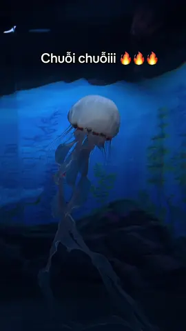 #VinWonders #GreenCreator #dulich 