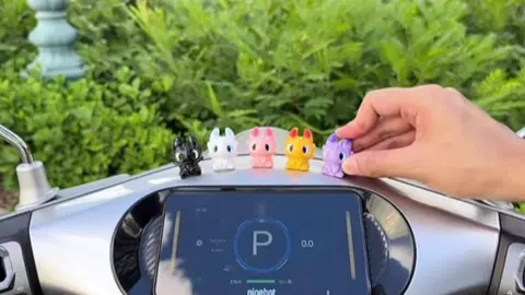 #เขี้ยวกุด🖤 #แต่งรถ 