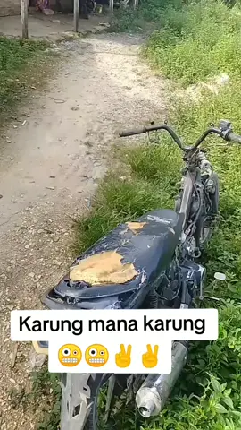🤪🤪🤪😁✌️