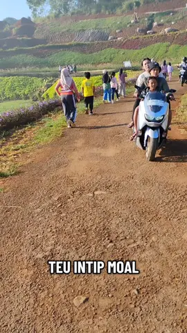 #katakatasunda #jalanjalan #wisataalam #puncakdamin #sukabumi 