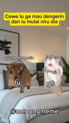 🗿#memesdaily #memecat #fyp #funny #funny #memekucing #memekucinglucu #meme 