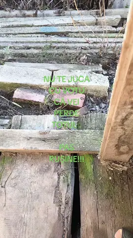 #доброеутро 