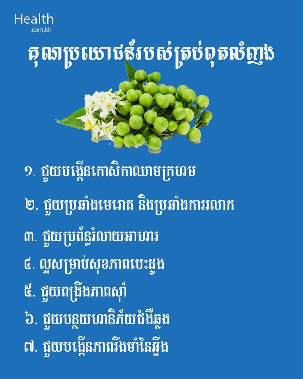 អត្ថប្រយោជន័បន្លែផ្លែឈេី