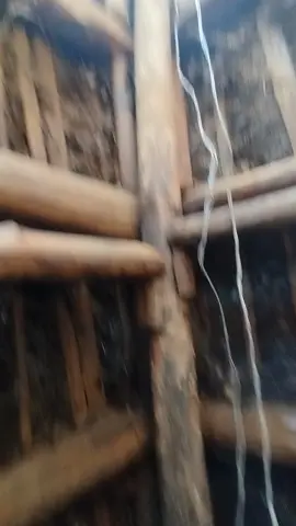 පුලුවන් තරම් හම්බ කරන්නයි ඕනි, ඒ වෙනුවෙන් මහන්සි වෙන්න 💎✨️ #Bimsaragems #rathnapura #gemcity #රත්නපුරේ_අපි❤️💎 