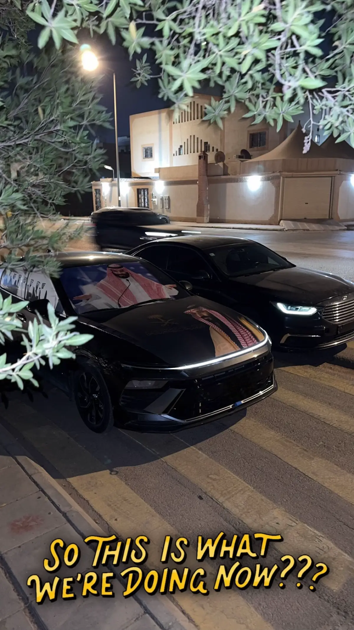 #fyp #foryou #سوناتا_2025 #CapCut #عنزة #النظيم_العظيم #SaudiNationalDay_95 