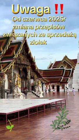 #thailand🇹🇭 #tajlandia #travel #podroze #bangkok 