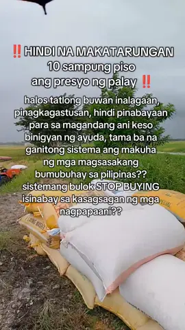 nakakatawa man sa inyung paningin pero ilalaban ang katarungang kailangan at tapat para sating mga kapwa magsasaka, pilipino rin tayu na nakakaranas sa bulok na sistema  #share #farming #farmers #lalabansahamonngbuhay #together #louder #pagkakaisa #magsasakangpilipino #palay #agriculture #NFA #viral #fyp #creatorsearchinsights 