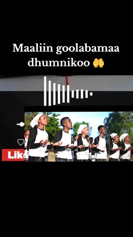 #fyp #creatorsearchinsights #foryoupage #duet #tiktok 