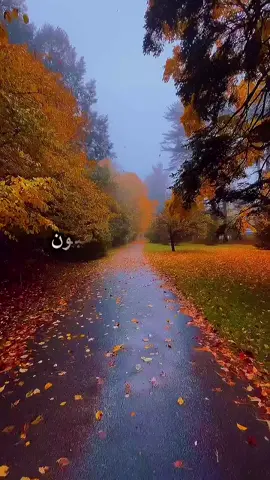 #صباح_الخير 💕🥰🌹