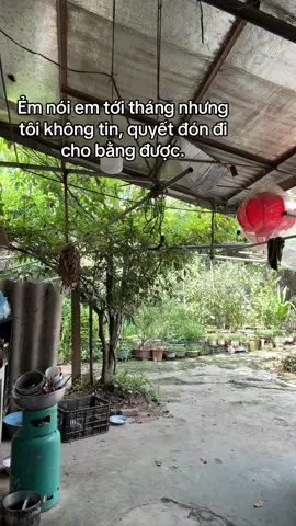 cố chấp đến đôn làu 🥲