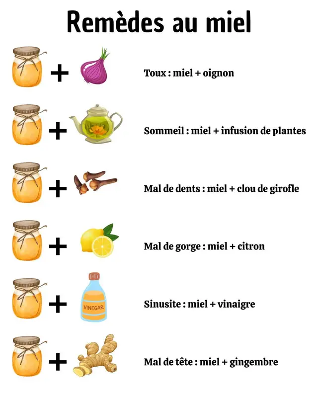 🍯 Le doux guérisseur de la nature : remèdes au miel pour les maux courants 🌿 🤧 Soulager la toux Miel + oignon → Remède ancestral. Macérer de l’oignon haché dans du miel toute une nuit et prendre une cuillère pour apaiser la gorge et réduire la toux. 😴 Améliorer le sommeil Miel + infusion de plantes → Dissoudre une cuillère de miel dans une infusion chaude de camomille ou de lavande pour détendre le corps et l’esprit avant de dormir. 🌙💤 😬 Soulager le mal de dents Miel + clou de girofle → Analgésique naturel puissant. Mélanger du miel avec du clou de girofle moulu et appliquer sur la zone concernée pour calmer la douleur. #RemèdesNaturels #MielGuérisseur #bienêtre 