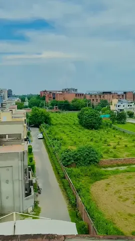تعلق ہمیشہ دل سے رکھیں مطلب سے نہیں