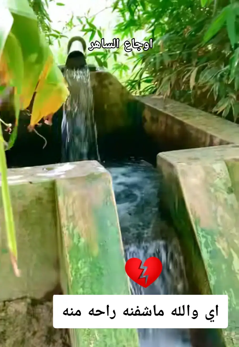 #مواويل_عراقية_حزينه💔  #ونين_يقطع_نياط_القلب_بصوت_جنوبي_حزين #ااااااااااااه😭💔😭💔  #الحزن💔عنواني💔ــہہہــــــــــہہـ👈⚰️  #ذكراهم_ستبقى_محفورة_في_قلبي  الوكت مايوم شفنه راحه منه