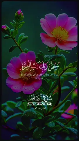 #ya_allah #quran_alkarim❤️🕊️ #اللهم_صلي_على_محمد_وأل_محمد❤❤❤❤ #islamic_video #foryourpage 