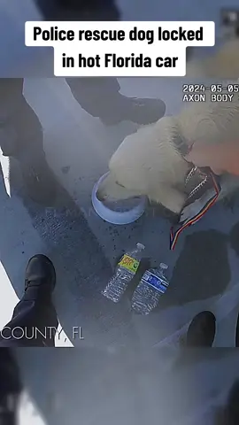 Police rescue dog locked in hot Florida car #policeofficer #police #cops #cop 