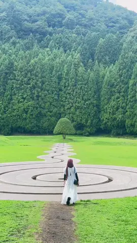 nemu spot foto bagusss di Naraa😍   #japan #nara #viral #osakajapan #murouartforest