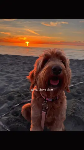 💗💗💗