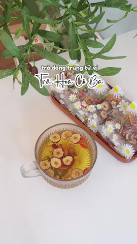 Trà đông trùng tứ vị #tradongtrungtuvi #trahoacoba #cherryunboxx #viral #xuhuong 