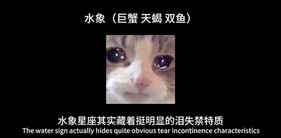 水象淚失禁這塊/：#水象星座#星座分析 #分享 #熱門 